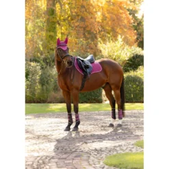 LeMieux Zadeldekje Suede Close Contact Square Springen Blackberry