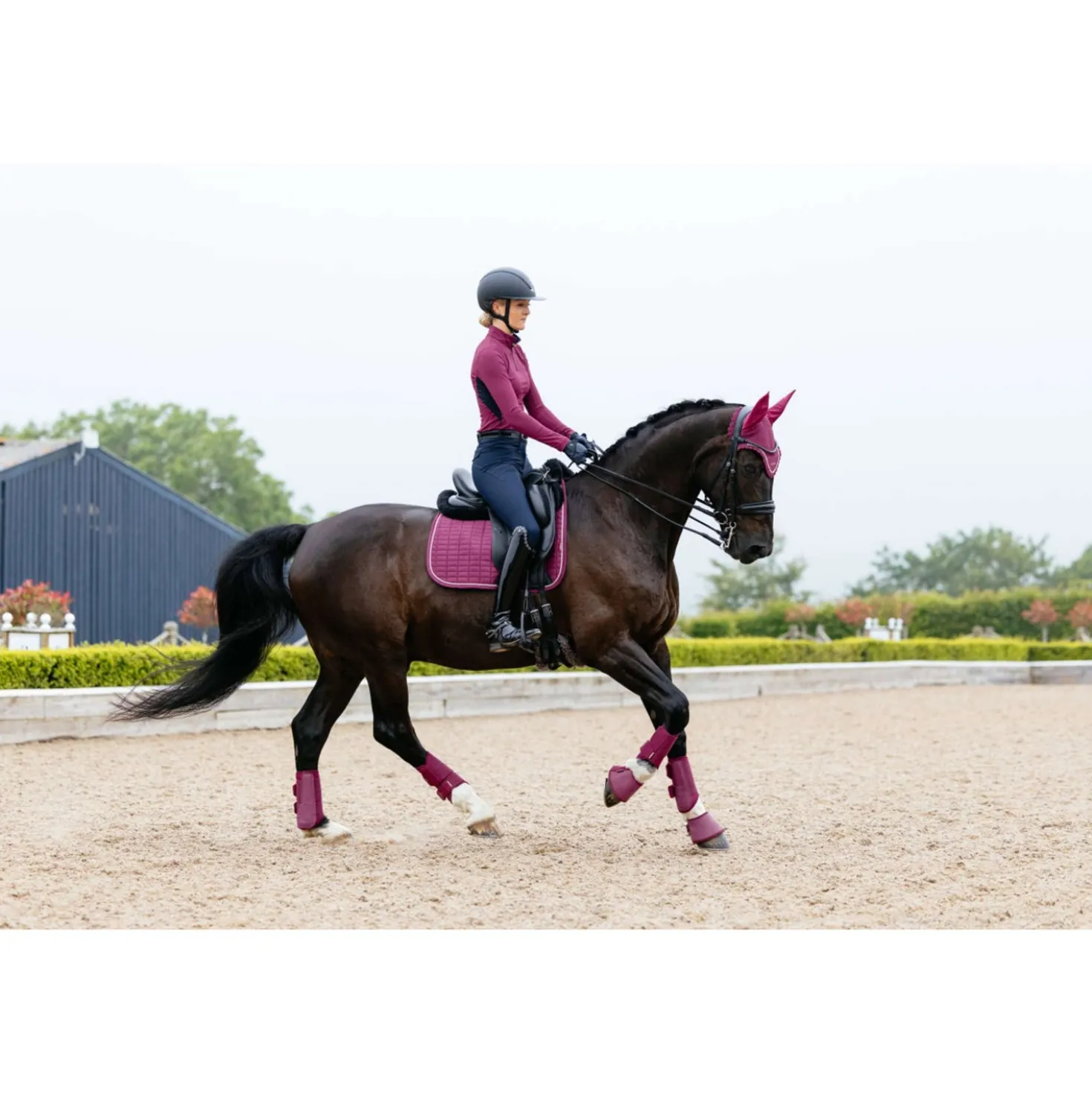 LeMieux Zadeldekje Suede Square Dressuur Blackberry
