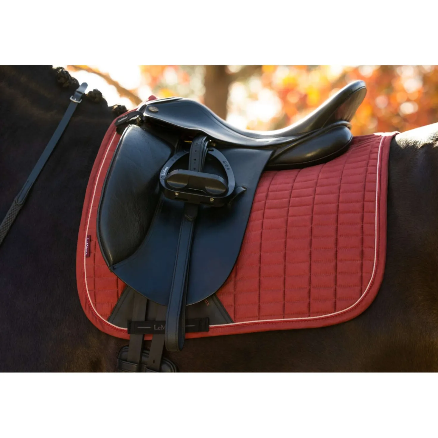 LeMieux Zadeldekje Suede Square Dressuur Russet