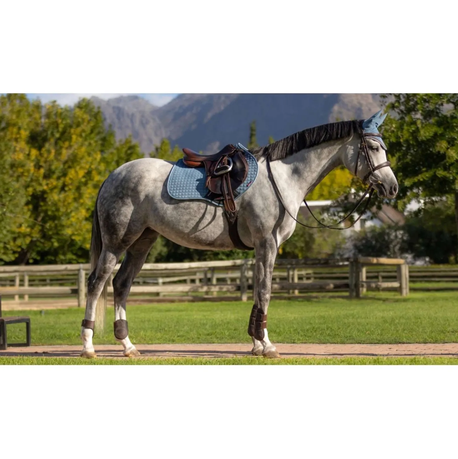 LeMieux Zadeldekje Suede Square Close Contact Ice Blue