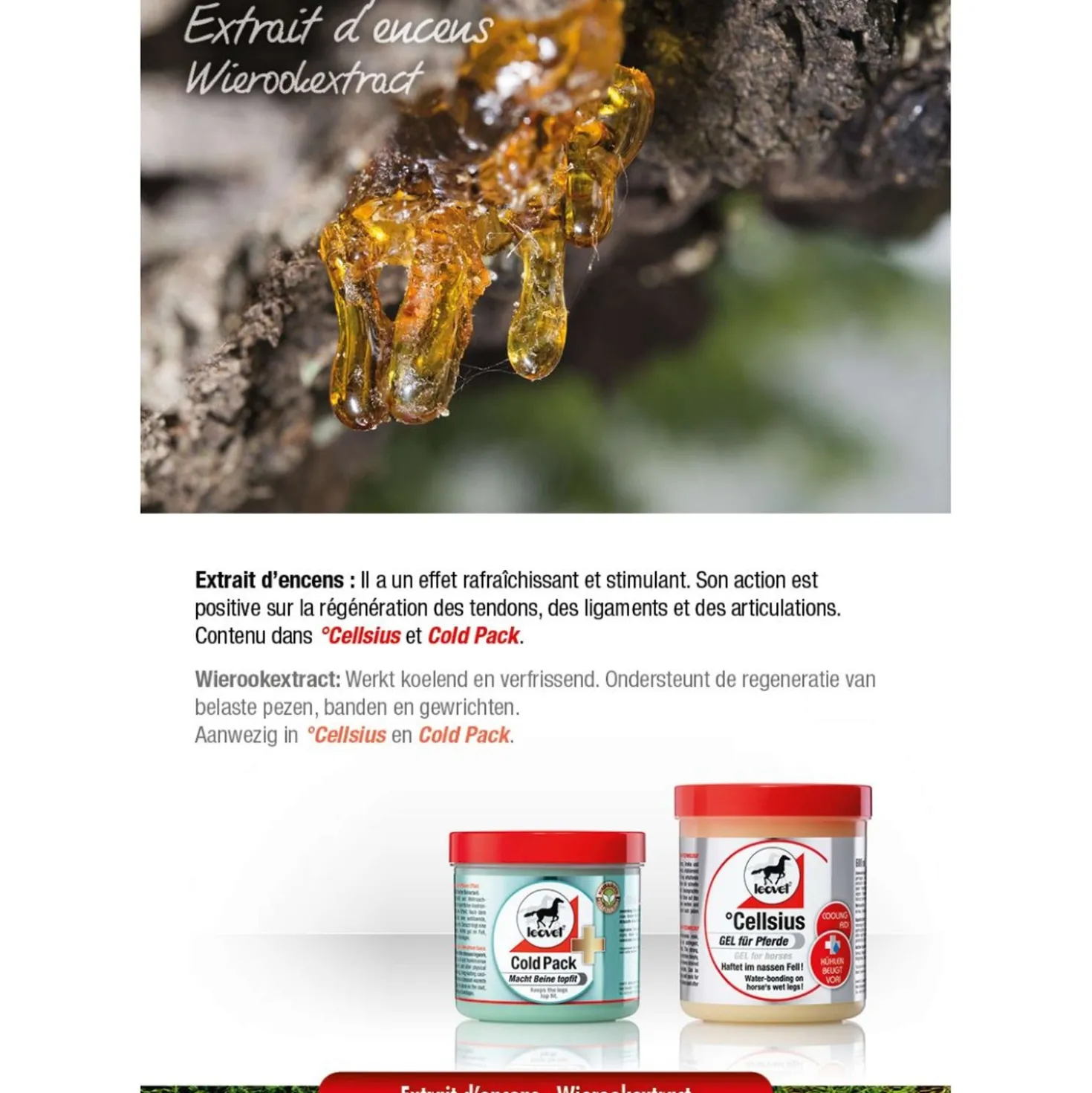 Leovet Cold Pack