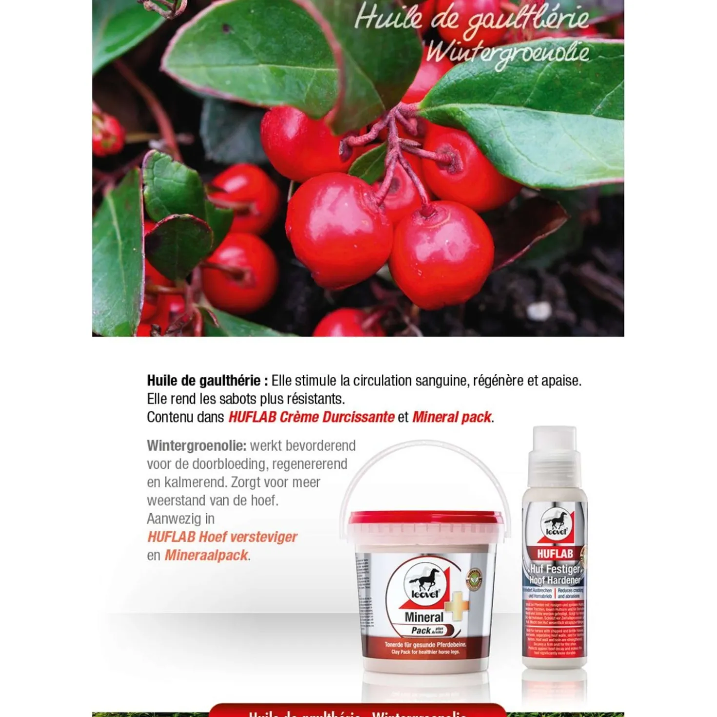 Leovet Hoofcare Hardener