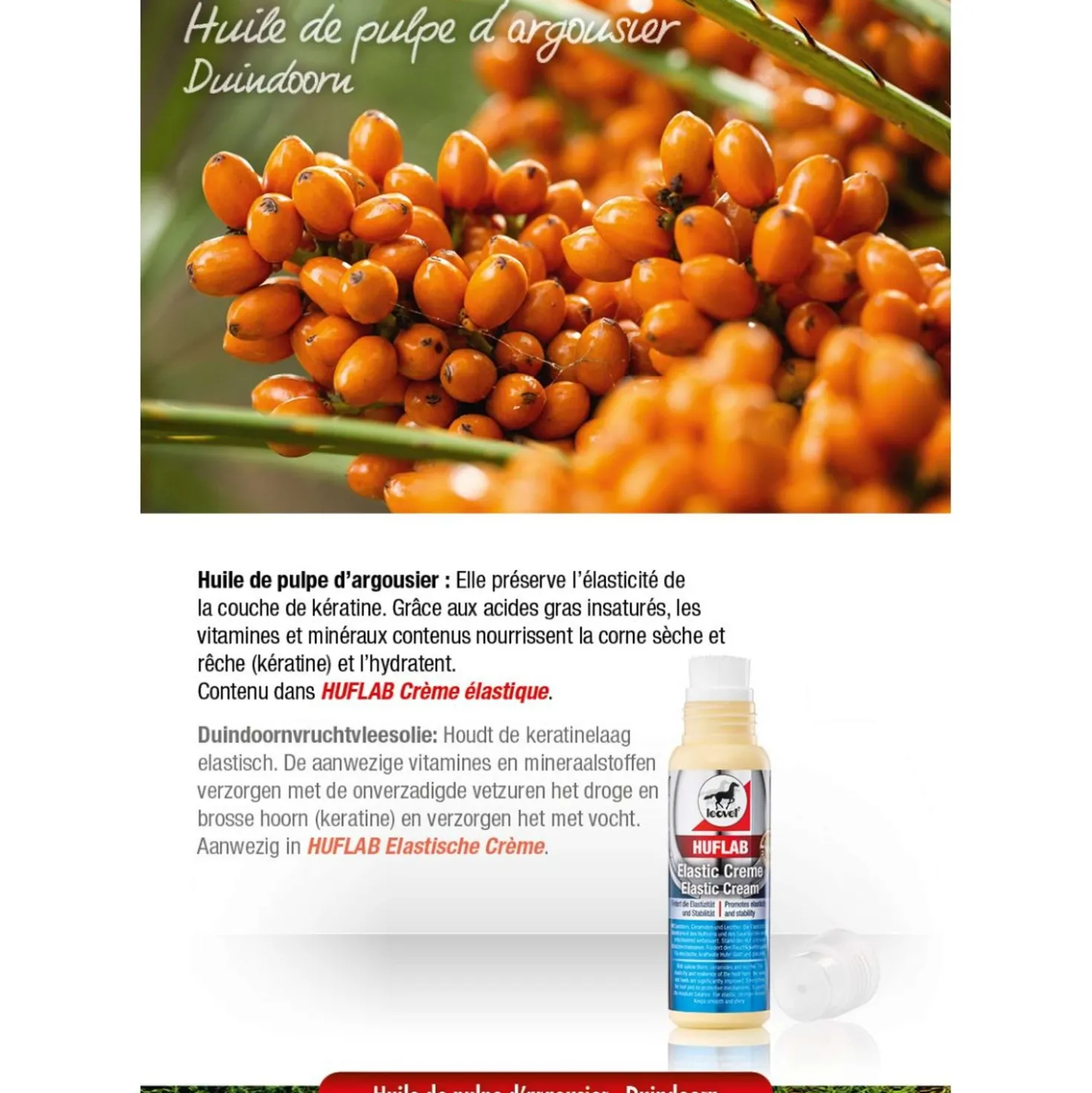 Leovet Hoofcare Hardener