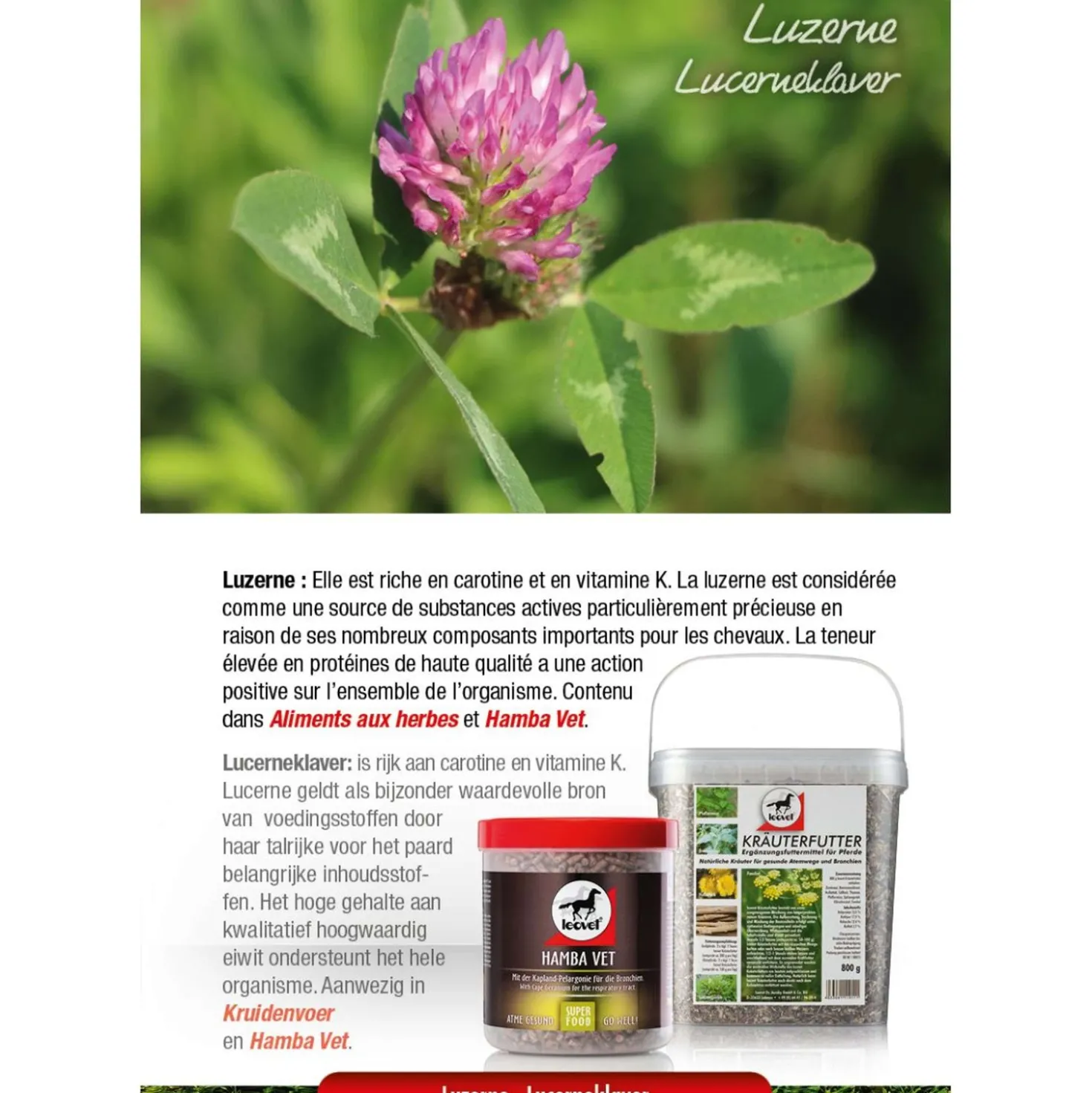 Leovet Kruidenvoer
