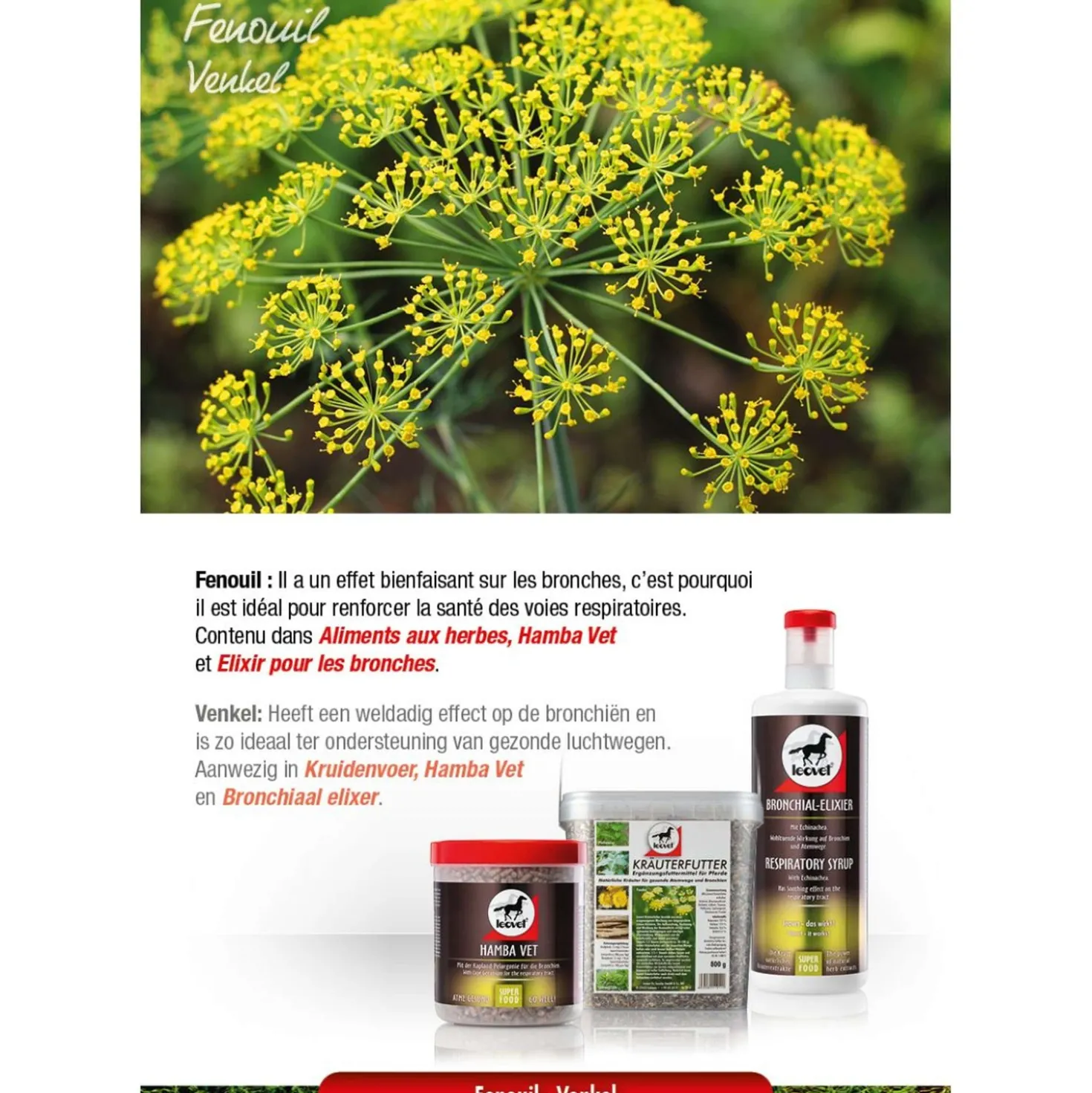 Leovet Kruidenvoer