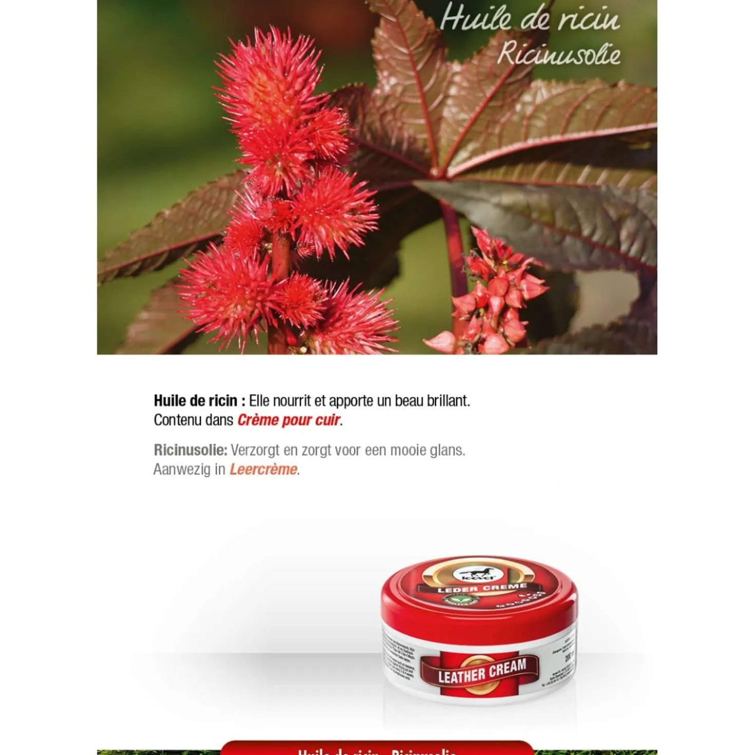 Leovet Leather cream