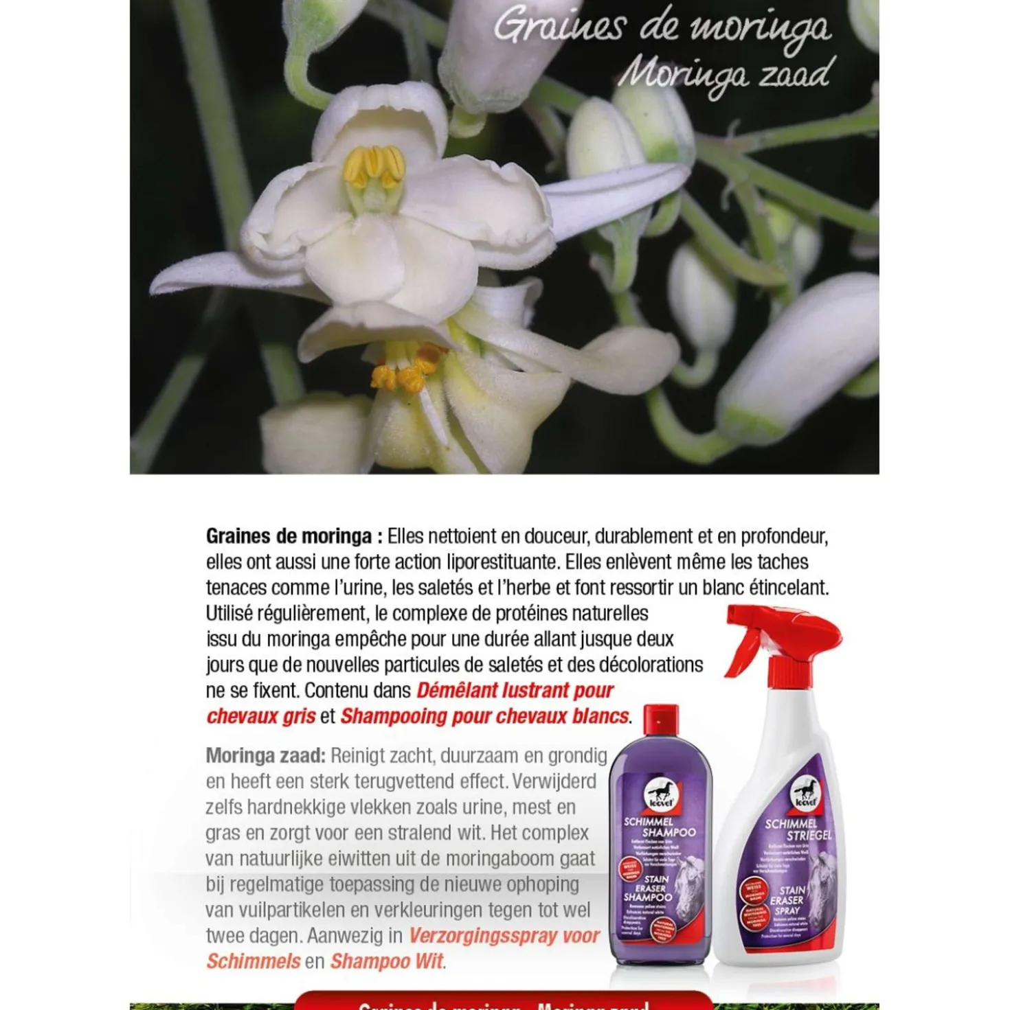 Leovet Milton-wit Shampoo