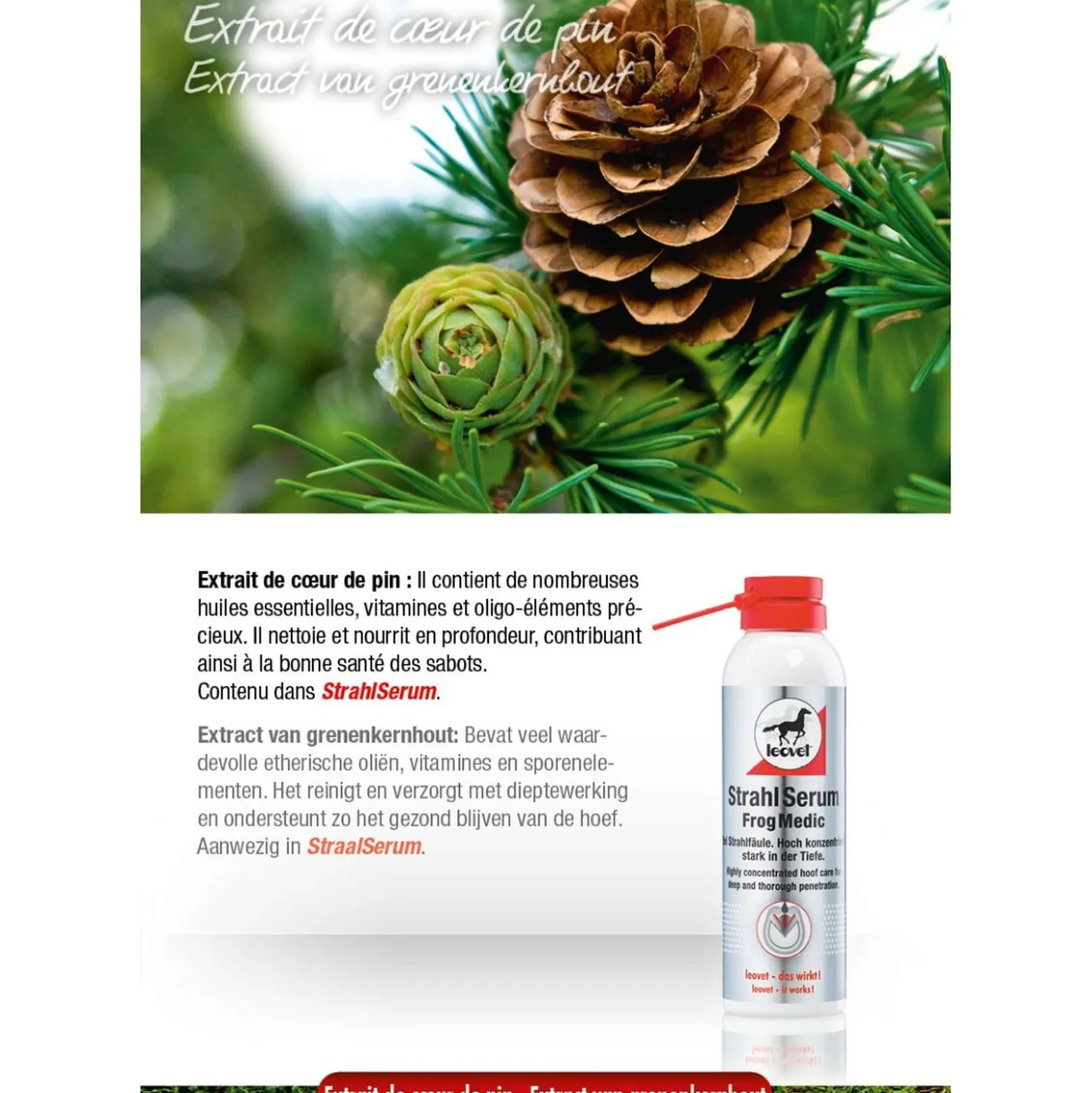 Leovet Straalsan