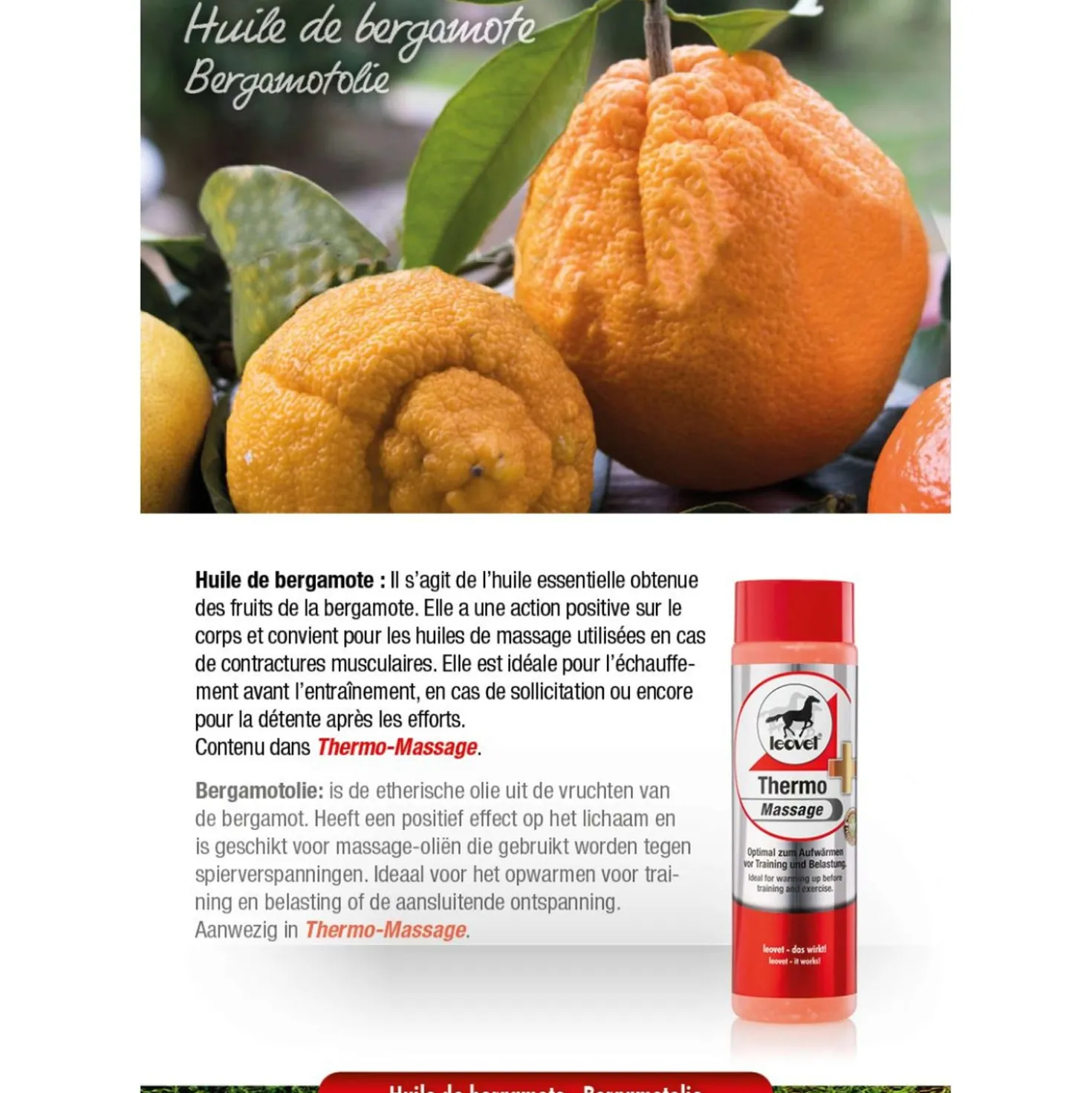 Leovet Thermo Massage