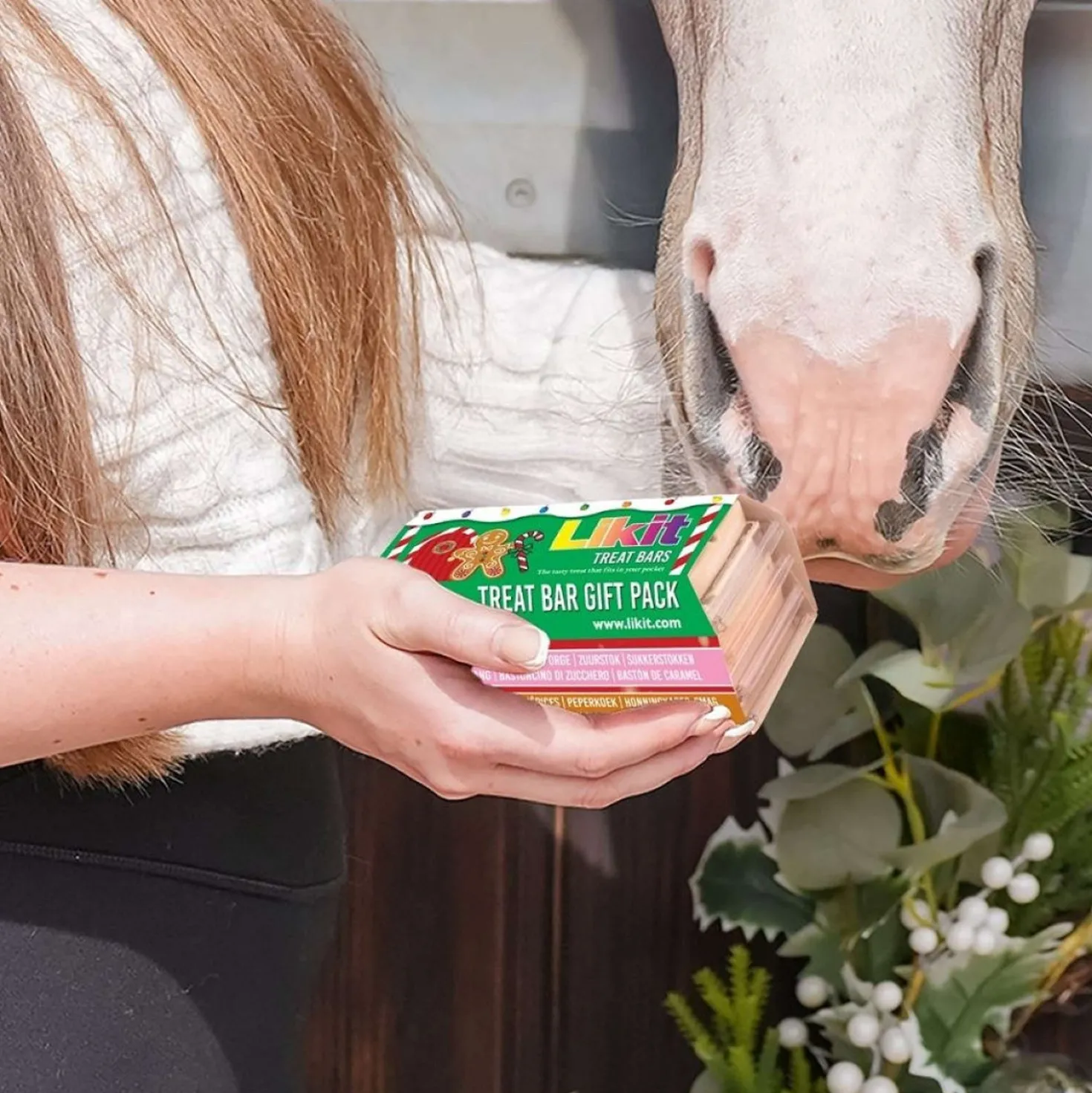 Likit Paardenrepen Treat Bar Giftpack Christmas