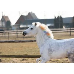 Lucky Horse Haarkrijt Unicorn Regenboog