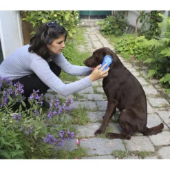 Magic Brush Borstel Hond Blue Sky