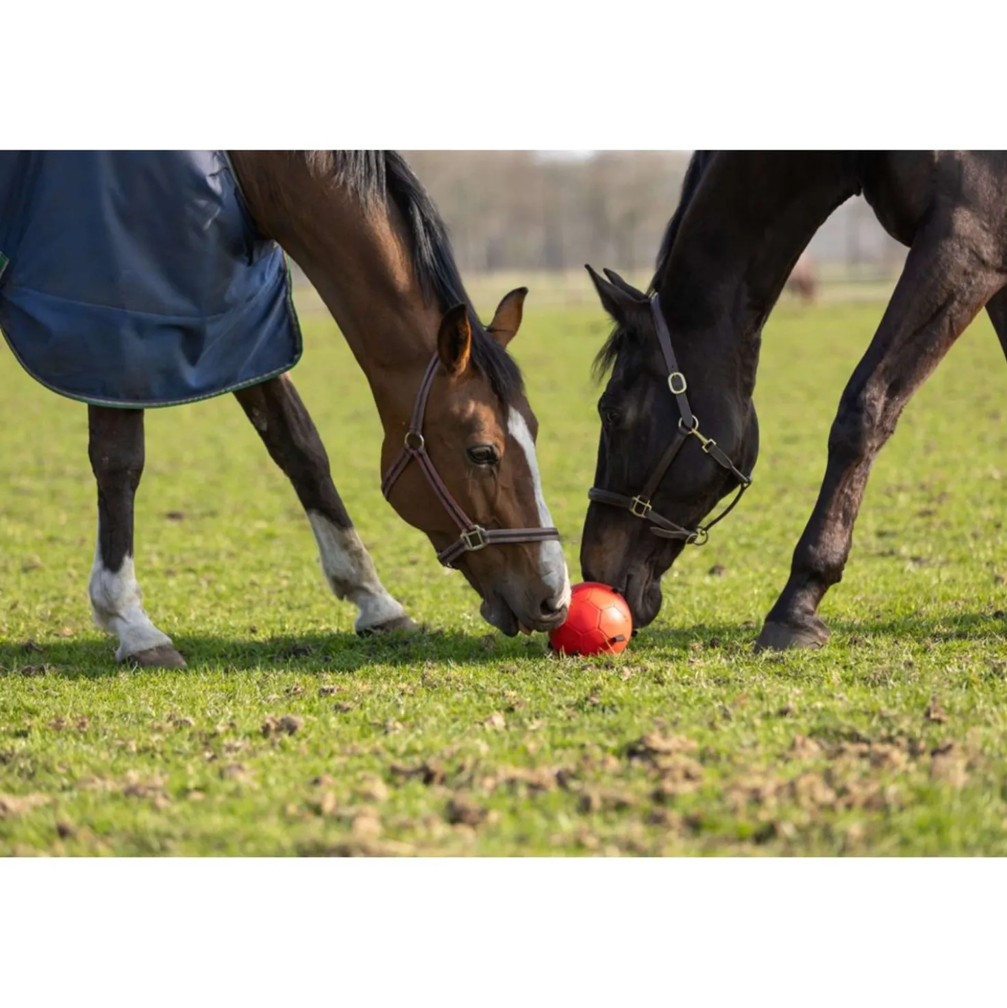 Maximus Bal Fun Play Blauw