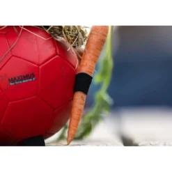 Maximus Bal Fun Play Oranje