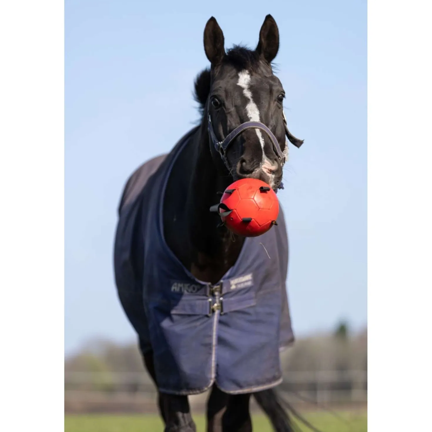Maximus Bal Fun Play Rood