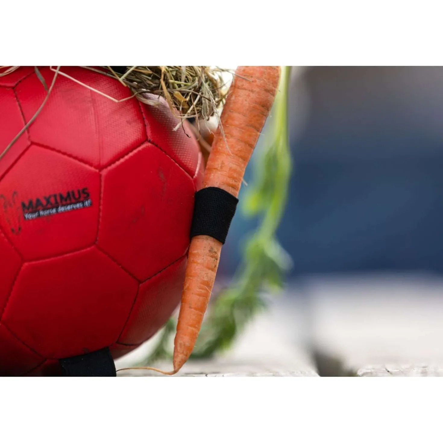 Maximus Bal Fun Play Rood