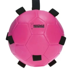 Maximus Bal Fun Play Roze