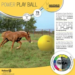 Maximus Power Play Ball Geel