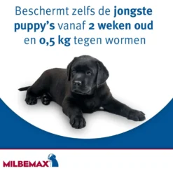 Milbemax Chewy Kauwtablet Hond <5kg