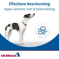 Milbemax Chewy Kauwtablet Hond <5kg