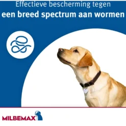 Milbemax Ontwormingstablet Hond Groot