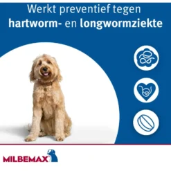 Milbemax Ontwormingstablet Hond Groot