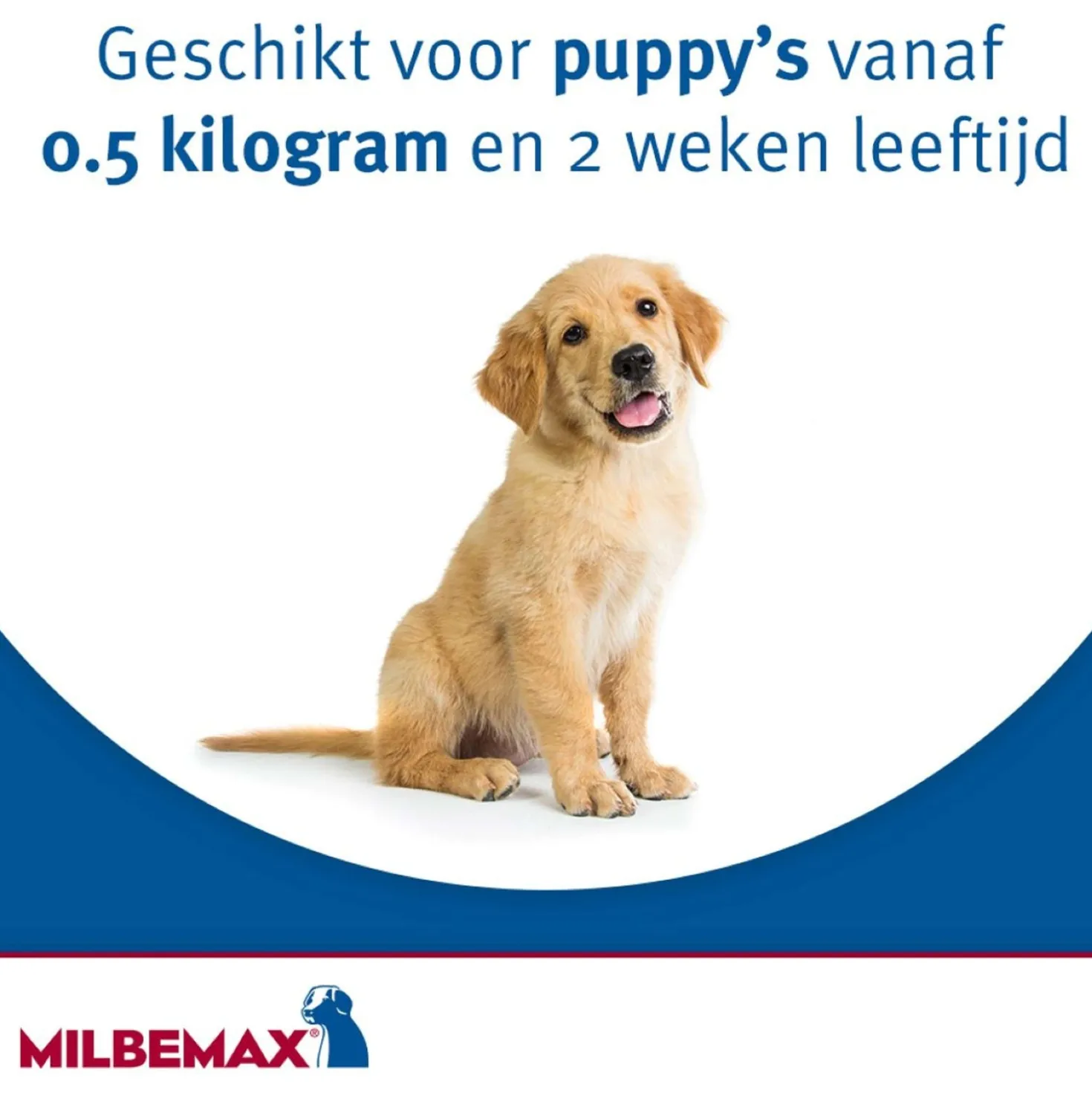 Milbemax Ontwormingstablet Hond Groot