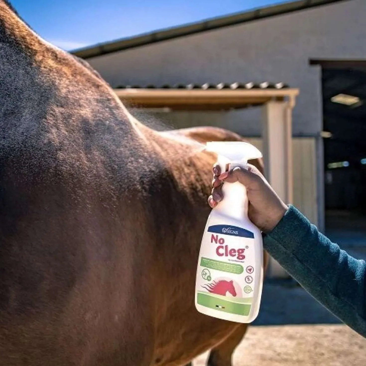 NoCleg Spray