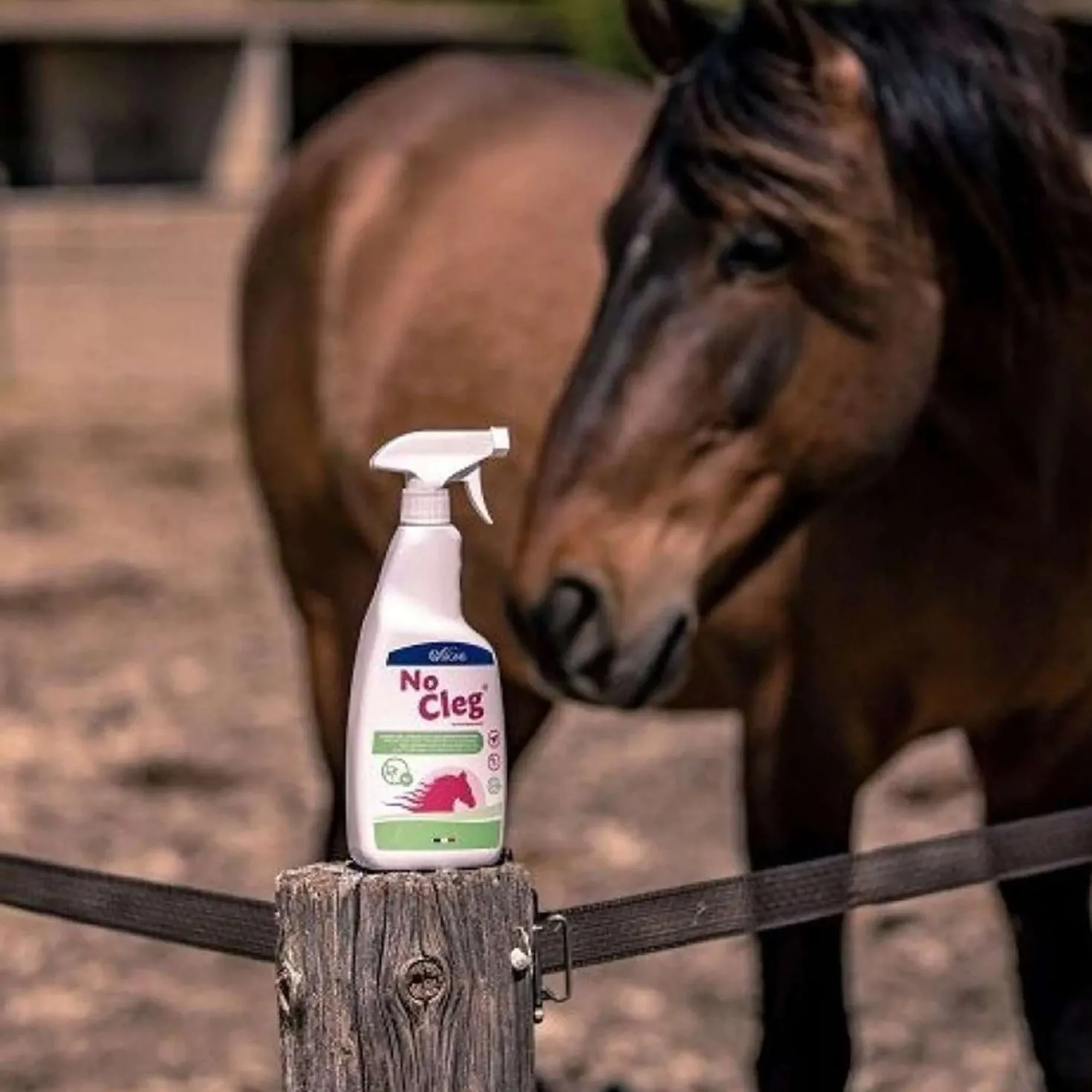 NoCleg Spray