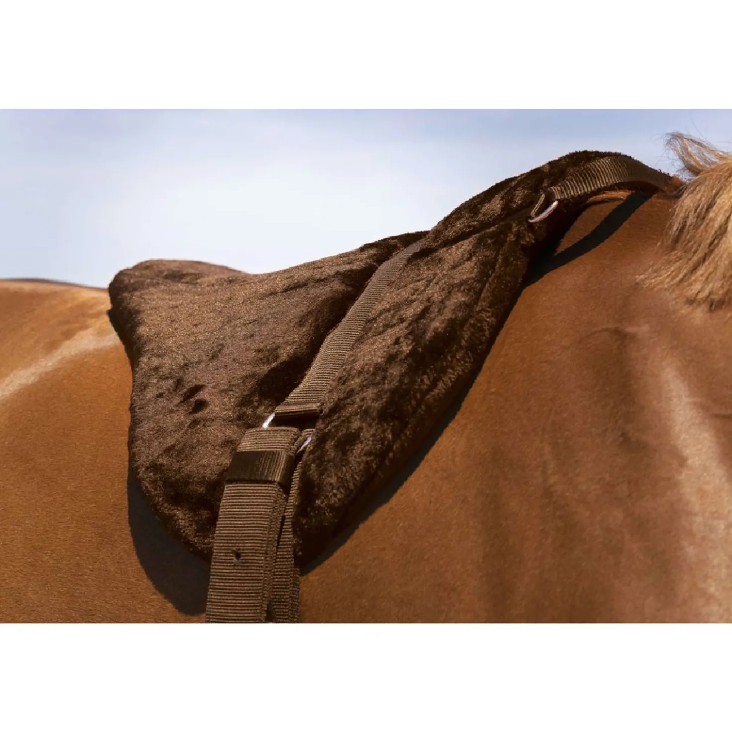 Norton Bareback Pad Confort Bruin