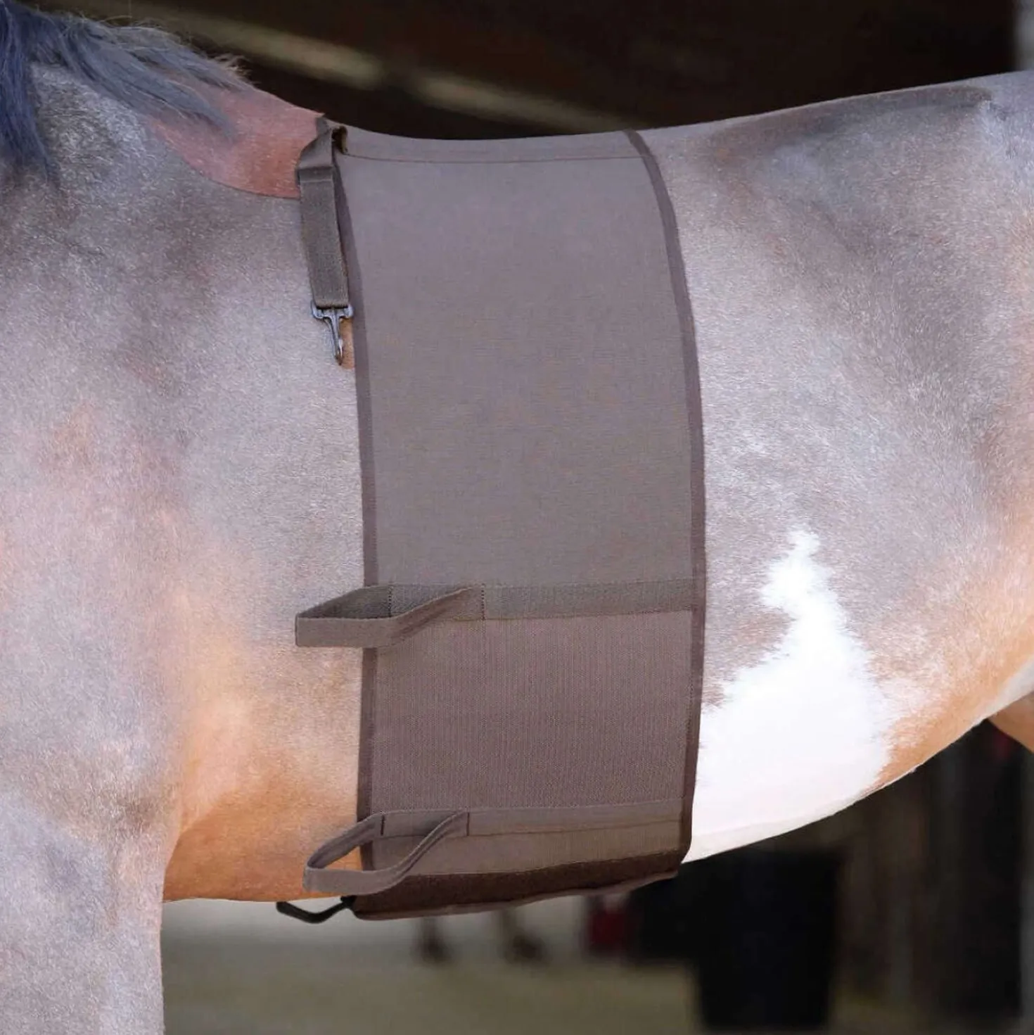 Norton Bodybandage Bruin