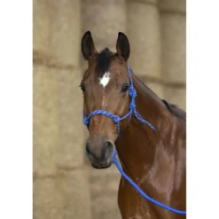Norton Ethologisch Halster Eco Blauw/Wit/Zwart
