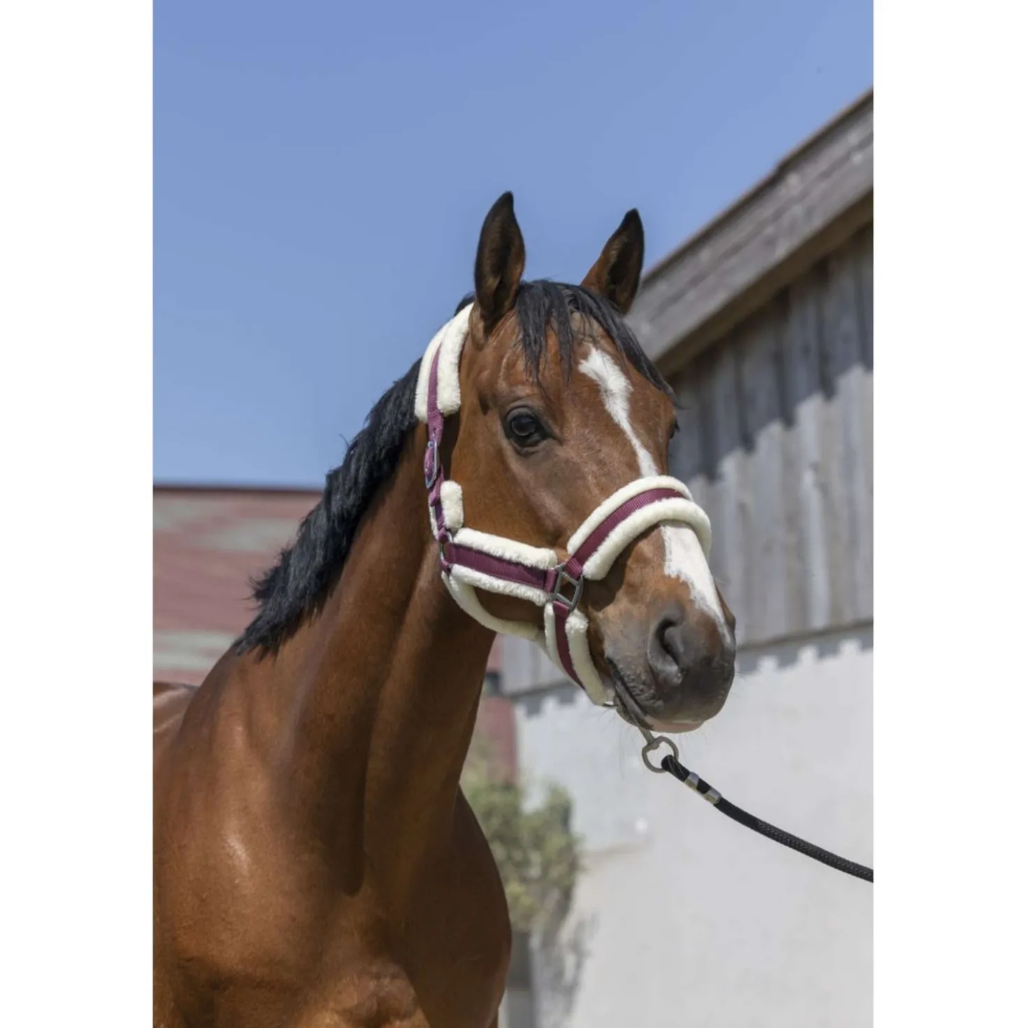 Norton Halster Cosy Burgundy