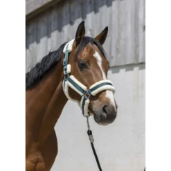 Norton Halster Cosy Donkergroen