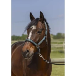 Norton Halster 4Lines Donkergroen