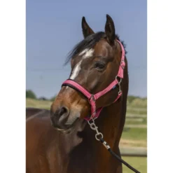 Norton Halster 4Lines Oud Roze