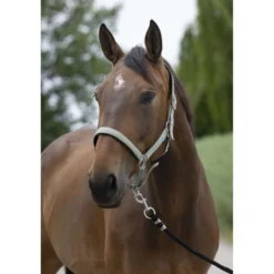 Norton Halster Satine Olijf