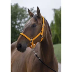 Norton Halster Satine Oranje