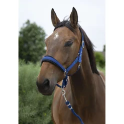 Norton Halsterset Large Blauw