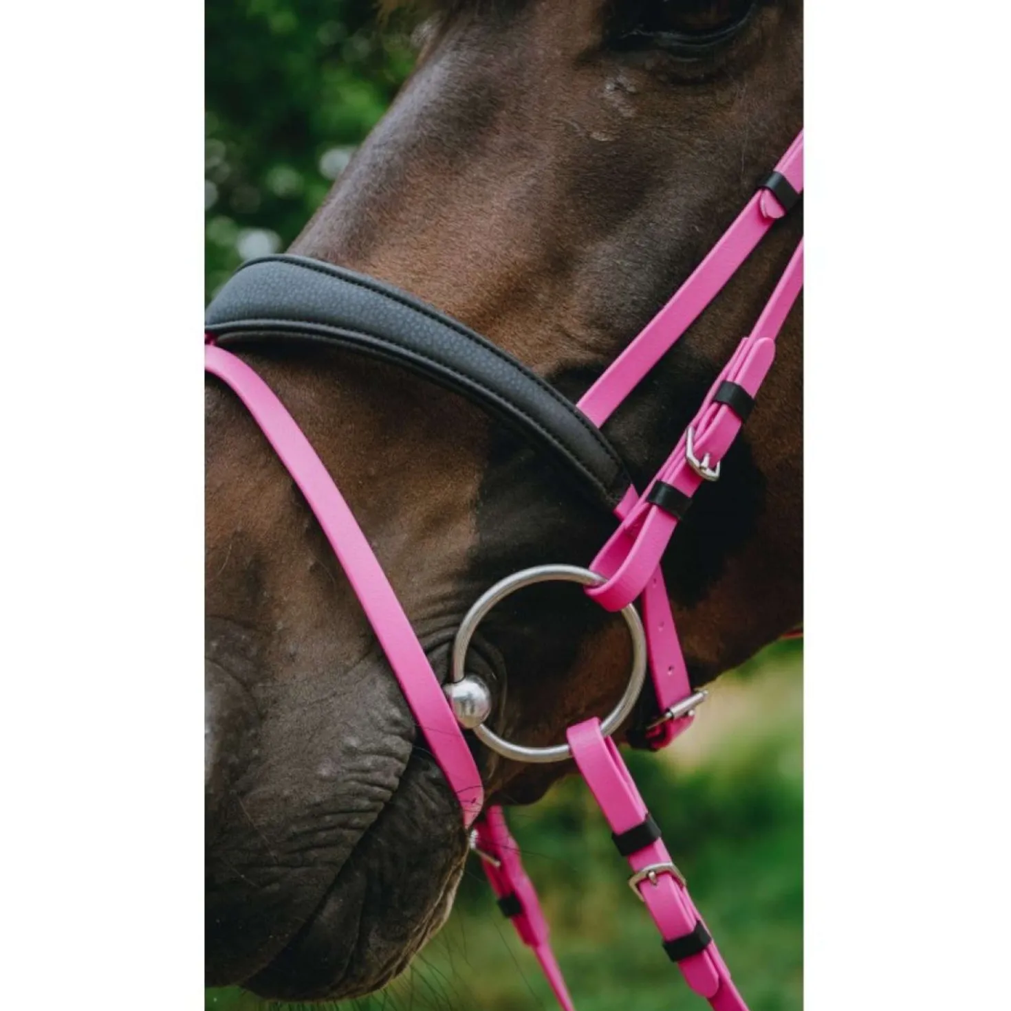 Norton Hoofdstel Endurance Roze