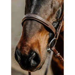 Norton Hoofdstel Hunter Comfy Havanna
