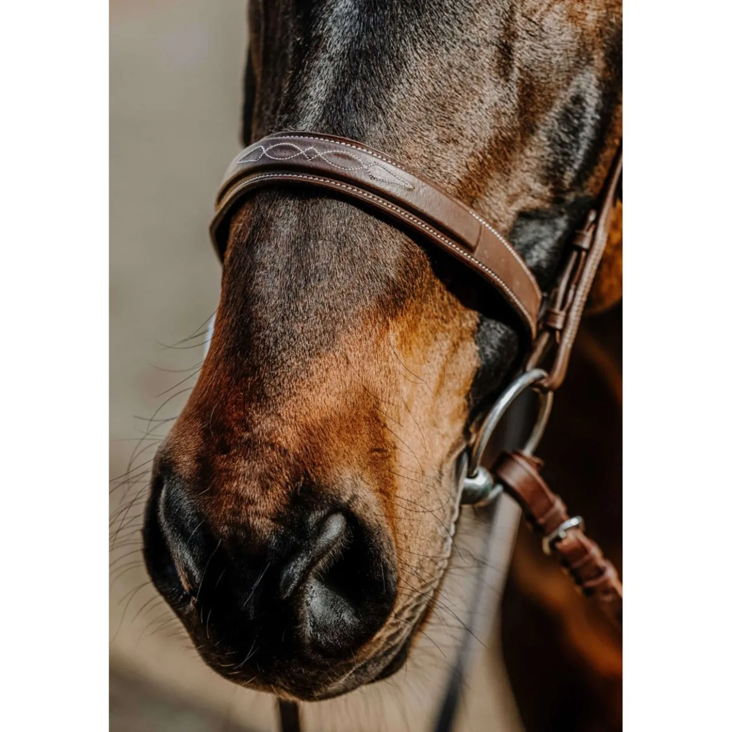 Norton Hoofdstel Hunter Comfy Havanna
