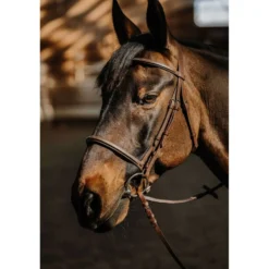 Norton Hoofdstel Hunter Soft Havanna