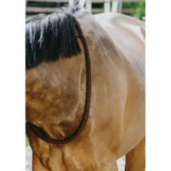 Norton Neckrope Bruin