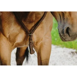 Norton Neckrope Bruin