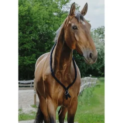 Norton Neckrope Navy