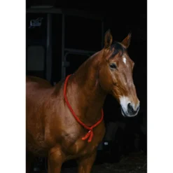 Norton Neckrope Rood