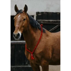Norton Neckrope Rood