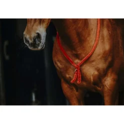 Norton Neckrope Rood