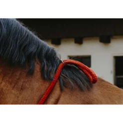 Norton Neckrope Rood